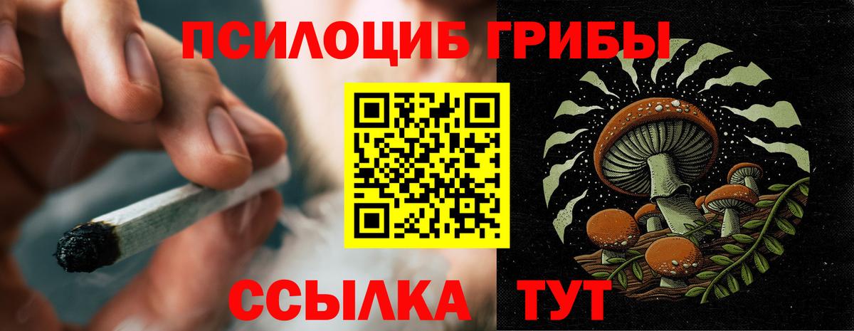Стрежевой  Псилоцибиновые грибы прущие грибы  Вход с VPN 